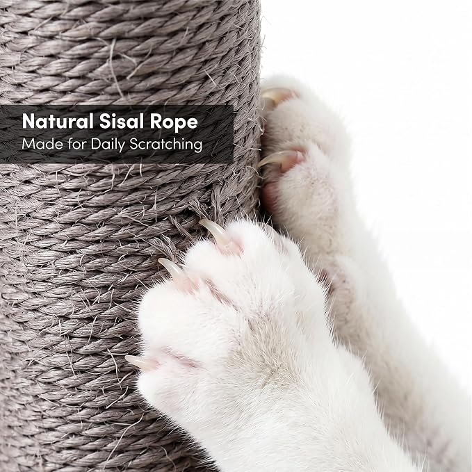 xympo 32" Sisal Scratching Post