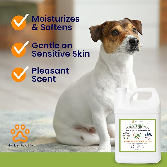 Healthy Paw Life Oatmeal Dog Shampoo for Dry Itchy Skin Relief - 1 Gallon Bulk Pet Wash for Dogs, Cats & Horses - Soothing Colloidal Oatmeal Formula for Sensitive Skin & Coat Care
