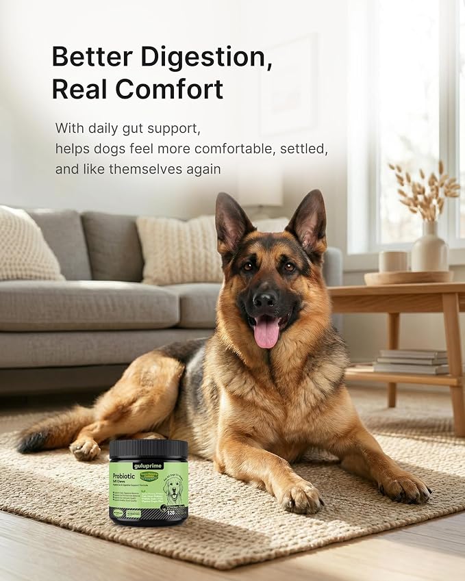 Dog Probiotics & Multivitamin Bundle, 240 Chews