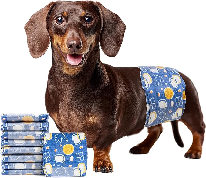 MICOOYO Male Dog Diapers, Disposable Male Dog Wraps with Wetness Indicator, Super Absorbent | Leak Proof Doggie Diapers for Incontinence, Marking, Puppy Training, S, 12-19-inch Waist, 20 Counts