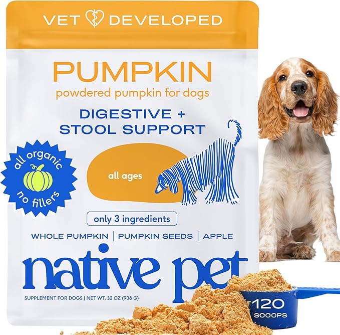 Native Pet Pumpkin for Dogs - Organic Dog Food Topper Powder - Promotes Firm Stools, Supports Digestive, Bowel Health & Nutrient Absorption - USDA Organic, Rich in Fiber with Real Pumpkin - 120 Scoops