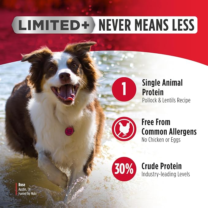 Nulo FreeStyle Limited Ingredient Dry Dog Food - High Protein Salmon Recipe, Natural Grain Free Dog Food for Puppies & Adults, Small, Medium and Large Breed Kibble, 24lb Bag