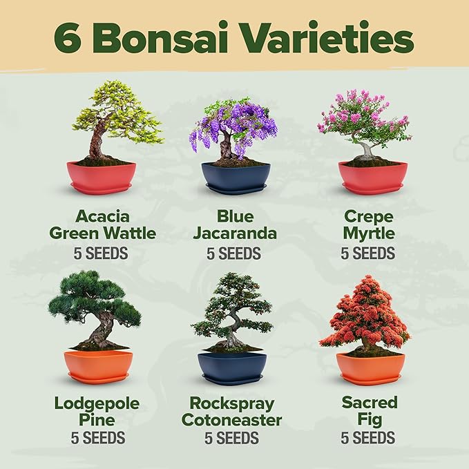 HOME GROWN 𝗨𝗦𝗔 𝗣𝗥𝗘𝗠𝗜𝗨𝗠 1 Pound Cat Grass Seeds for Cat & Kittens Oat & Barley Mix &HOME GROWN 𝗨𝗦𝗔 Bonsai Tree Kit – 6 Heirloom Varieties with Unique Pots