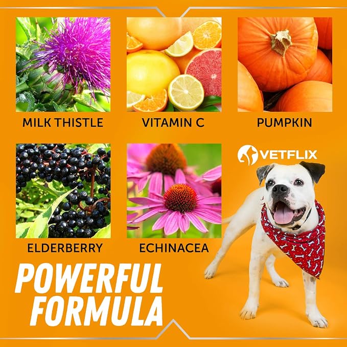 Allergy and Immune Liquid for Dogs, Cats, Puppies and Kittens, 2 Fl Oz | Natural Liquid Supplement, Turmeric and Milk Thistle, Seasonal Allergy Relief, Immune Support