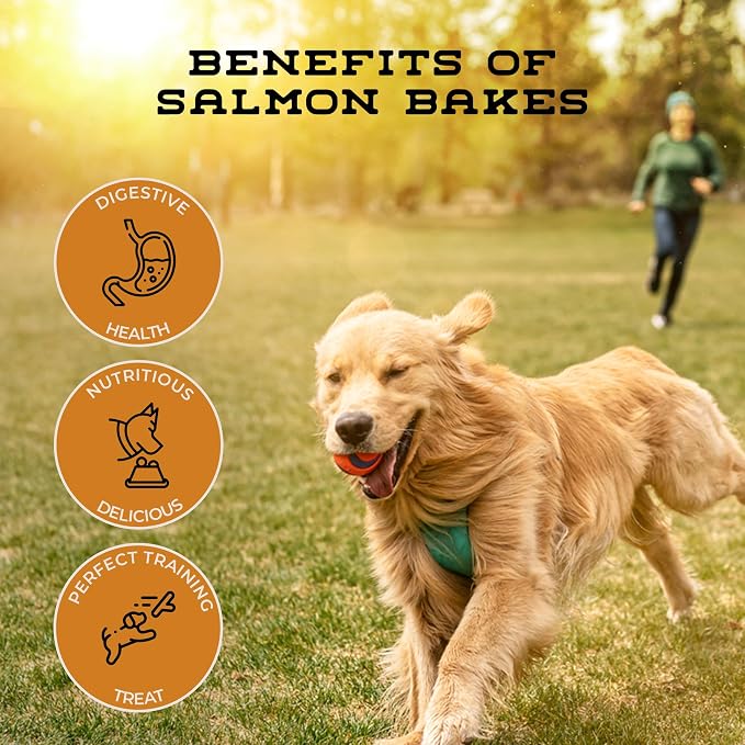 Salmon Bakes Grain Free Natural Dog Treats for Small to Large Breed - Low Calorie for Training - High Value, Healthy Dog Treats for Small, Medium & Large Dogs (8oz)