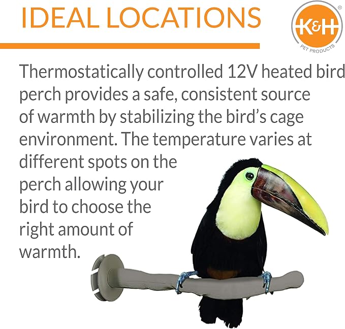 K&H Pet Products Thermo-Perch Heated Bird Perch for Cage, Bird Cage Accessory, Exotic Avian Warming Post for Med/Large Feathered Friends Like Parrot, African Grey, Cockatoo - Medium 1.25 X 13in 12V