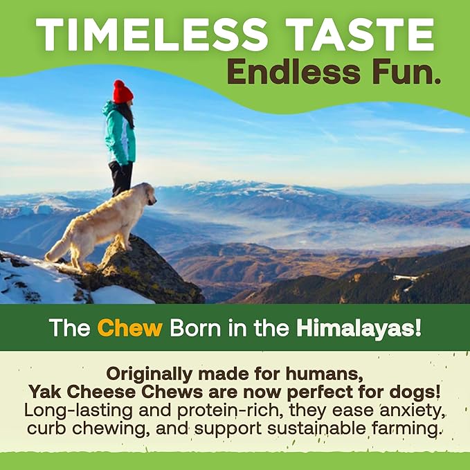 EcoKind Yak Cheese Himalayan Dog Chews, Yak Chews for Large Dogs, Long Lasting Bone for Aggressive Chewers, Only 3 Ingredients, Natural High Protein Dog Treats, No Additives, Large - 12+ Chews (3 lbs)