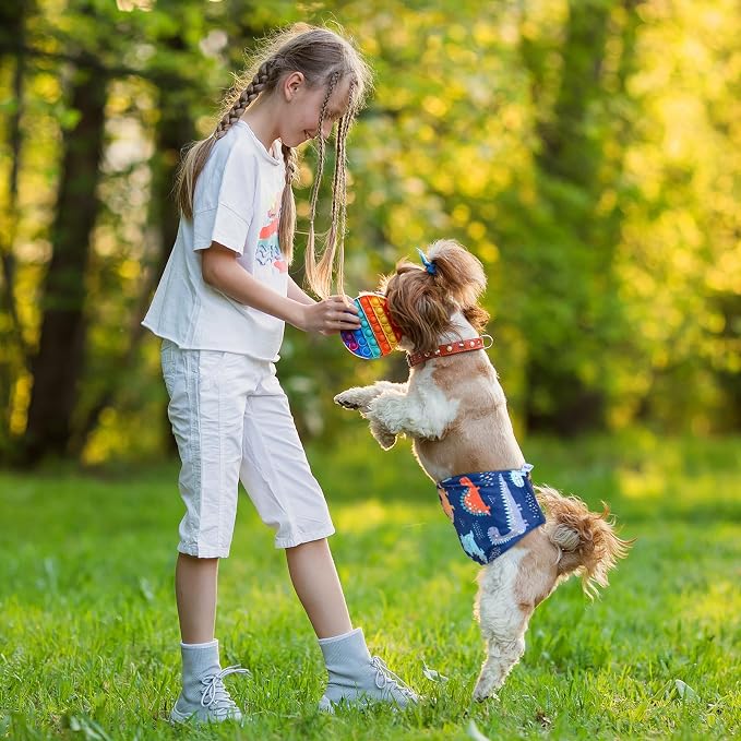 Pet Soft Dog Belly Band - 3 Packs Reusable Dog Diapers Male Doggy Diapers Wraps - Washable Dogs Belly Bands for Male Dogs (Dino, M)
