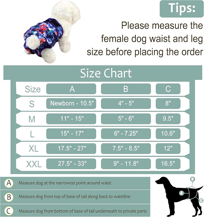 Female Dog Diapers 5Pcs - Premium Reusable Diapers for Doggie in Heat - Highly Absorbent Dog Diapers Female for Pet Incontinence with Adjustable Snaps, Rose, S
