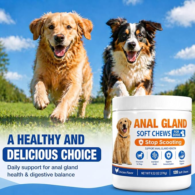 Anal Gland Support Chews for Dogs – Stops Scooting, Supports Digestive Health & Firm Stools – Pumpkin, Psyllium, Fiber, Probiotics & Digestive Enzymes – Chicken Flavor（120 Ct）