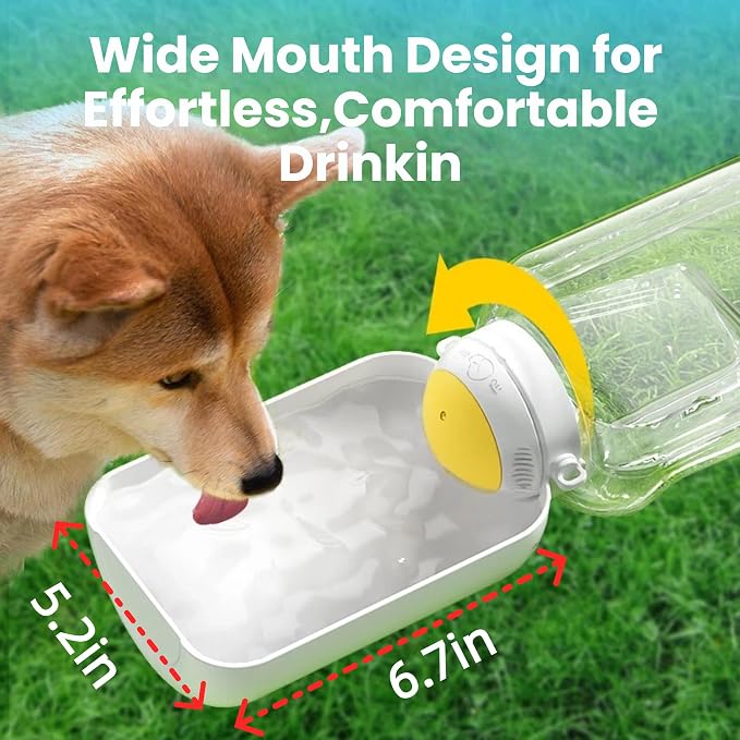 All-in-One Pet Care Bundle: Dog Paw Balm & 32oz Travel Water Bottle with Food Container – Moisturizing & Hydration Essentials for Dogs & Cats, Leak-Proof, Lick-Safe & Outdoor Ready