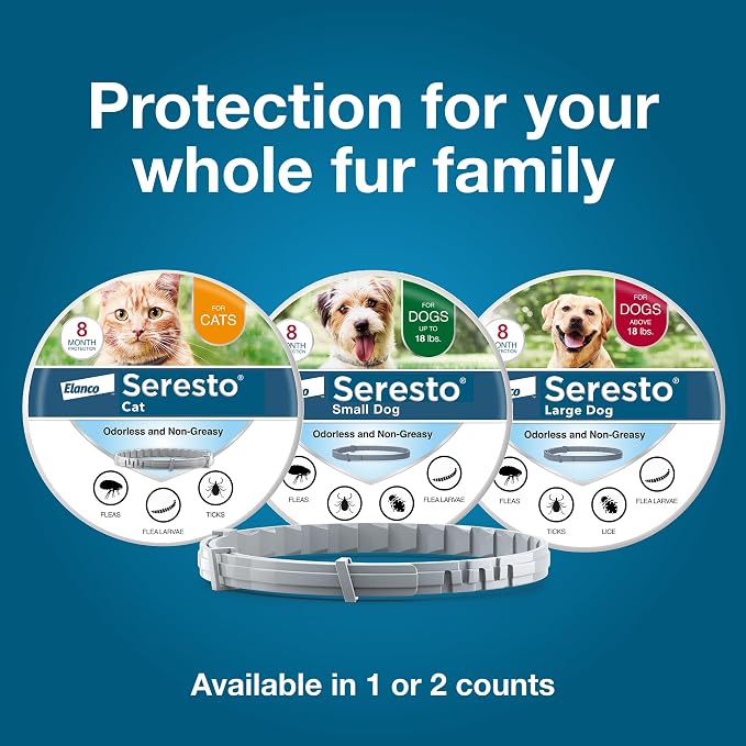 Seresto Cat Vet-Recommended Flea & Tick Treatment & Prevention Collar for Cats | 8 Months (Pack of 2)