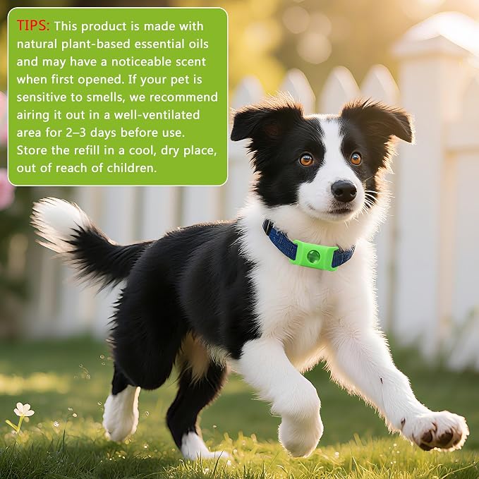 Dog Tag with 2refills (Green Pendant+2refills)
