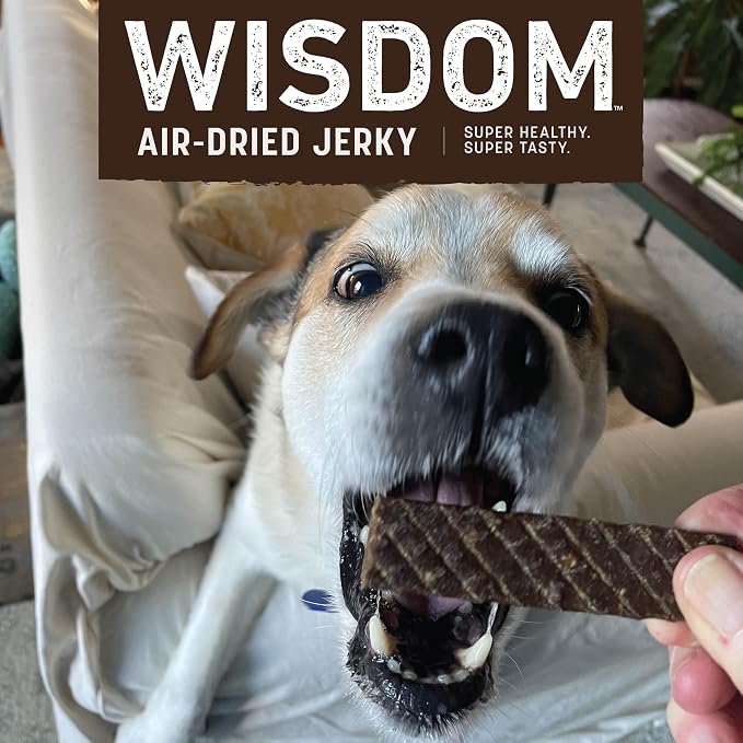 Earth Animal Wisdom Air Dried Jerky - from the Air Recipe Premium Natural Jerky Strips Dog Treats - 3 Pack 4 oz Bag
