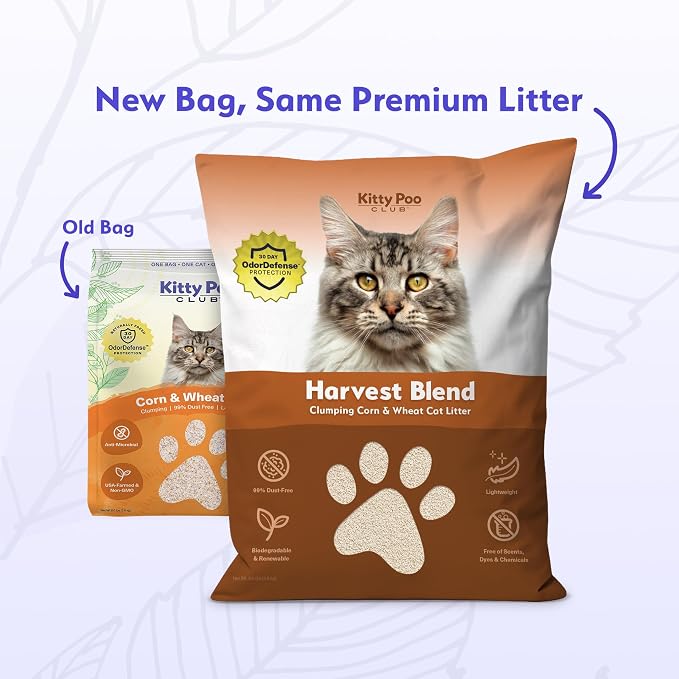 Kitty Poo Club Disposable Cat Litter Box 2-Pack with 2 Bags Harvest Blend Corn & Wheat Clumping Litter, Plant-Based, Patented Leak-Proof Design, Low Dust & Soft on Paws, Travel & Multi-Cat