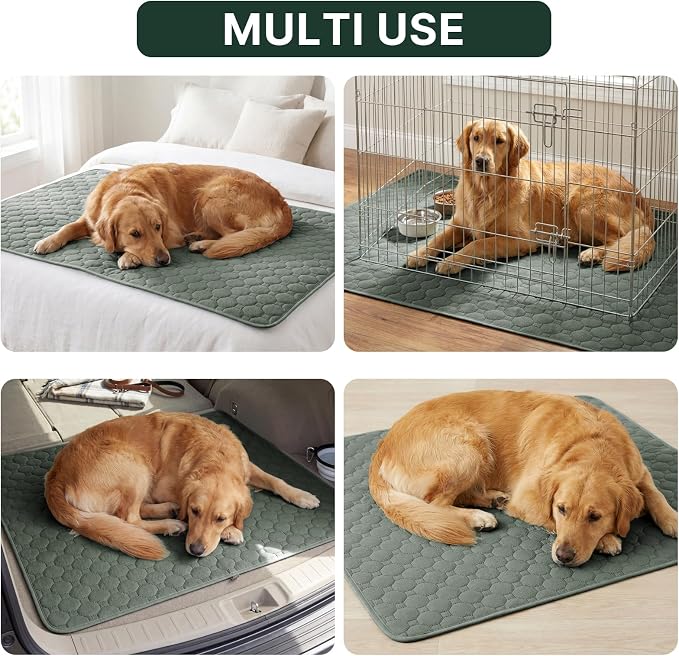 H.VERSAILTEX Premium Washable Pee Pads for Dogs 1 Pack Super Absorbent 100% Waterproof Reusable Non-Slip Quilted Puppy Training Pads for Crate Playpen Whelping & Potty Training(72"x72", Sage)