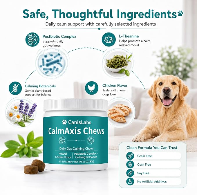 Calmaxis Postbiotic Chews, Calming Chews for Dogs, Daily Gut Support with Postbiotics + L-Theanine for Puppies Small All Dogs, Reduce Stress and Anxiety, Chicken Flavor, 60 Soft Chews