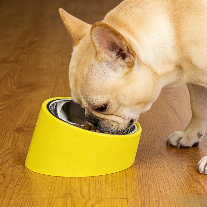 15° Tilted French Bulldog Bowl – Anti-Choke Anti-Spill Dog Bowl with Weighted Non-Skid Base, Stainless Steel Insert, Large 750ml for Flat-Faced Breeds
