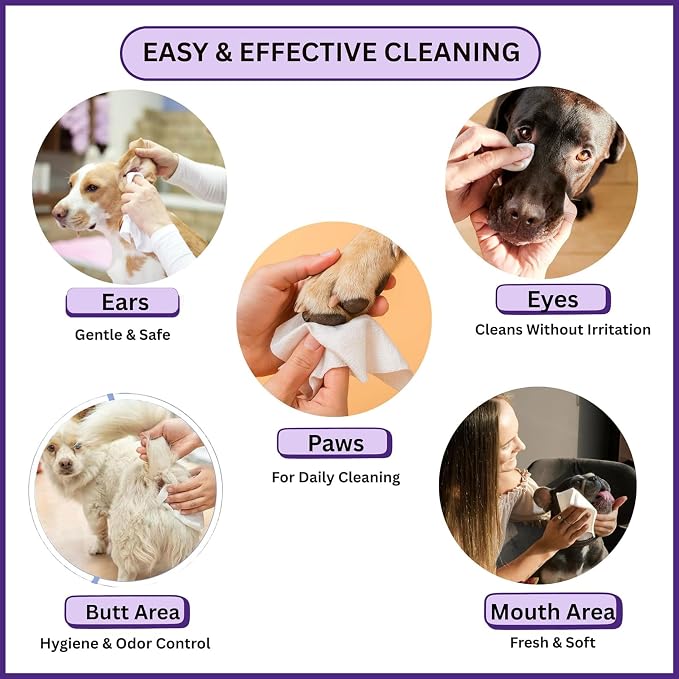 Aurora Pet Wipes – 100% Natural, Plant-Based Hypoallergenic Grooming Wipes for Dogs & Cats – Extra-Durable, Large & Thick for Effortless Cleaning (Lavender, 200 Count)