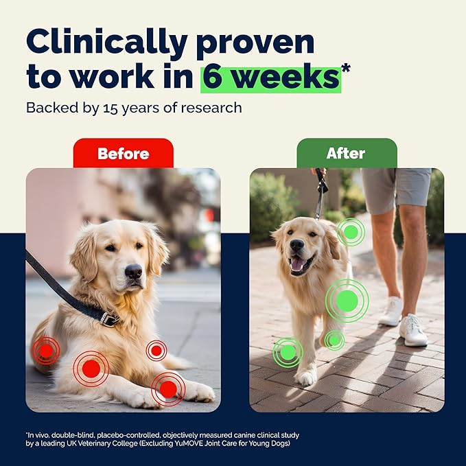 YuMOVE Senior Dog Joint Supplement with ActivEase Green Lipped Mussel - Glucosamine for Dogs, Hyaluronic Acid & Omega 3 – Advanced Mobility Support for Aging Dogs (120ct Chewable Tablets)