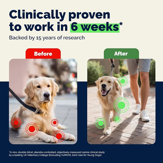 YuMOVE Senior Dog Joint Supplement with ActivEase Green Lipped Mussel - Glucosamine for Dogs, Hyaluronic Acid & Omega 3 – Advanced Mobility Support for Aging Dogs (240ct Chewable Tablets)