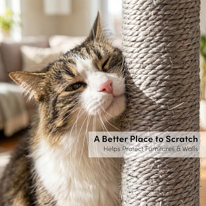 xympo 32" Sisal Scratching Post