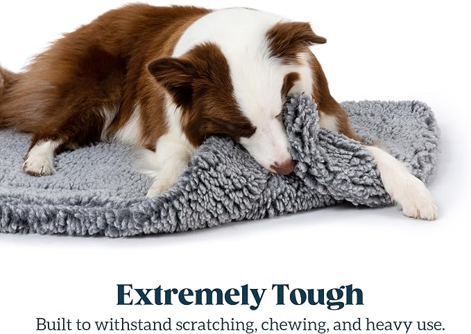 PELZIN Stoutwool Indestructible Dog Bed - Fluffy Chew Proof Dog Crate Pad - Tough Kennel Pad for Aggressive Chewers - Ideal for Extra Small Breeds & Fits 22-Inch Crate - 21"x12", Charcoal