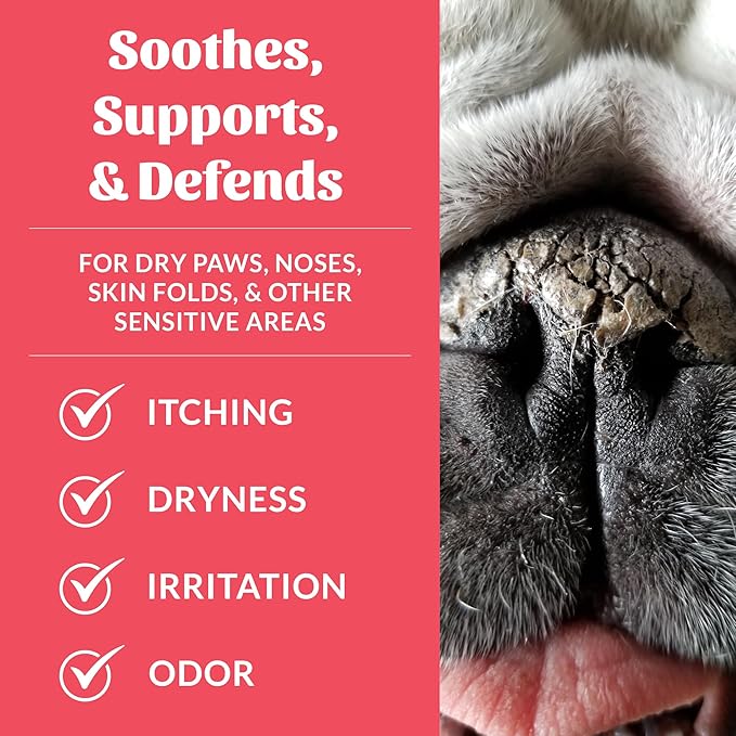 SKOUT'S HONOR Prebiotic Pet Balm - 100% Natural and Made w/Manuka Honey to Promote Healing of Your pet's paw Pads and Nose, Soothes Dry, Itchy Paws and Noses - Safe for Cats and Dogs, 2oz, 1-Pack