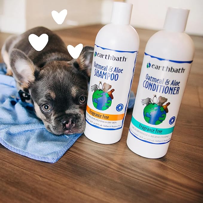 earthbath, Oatmeal & Aloe Conditioner - Dog Conditioner for Allergies & Itching, Dry Skin, Helps Relieve Itching, Made in USA, Cruelty Free Pet Conditioners, Fragrance Free Dog Wash - 16 Oz (1 Pack)