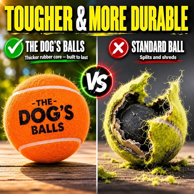 The Dog's Balls Dog Tennis Balls Tough 2.5" 12-Pack Orange Floats in Water | Our fetch balls combine non-abrasive felt exterior and a thicker rubber core Durable Dog Toy for Outdoor Play & Training