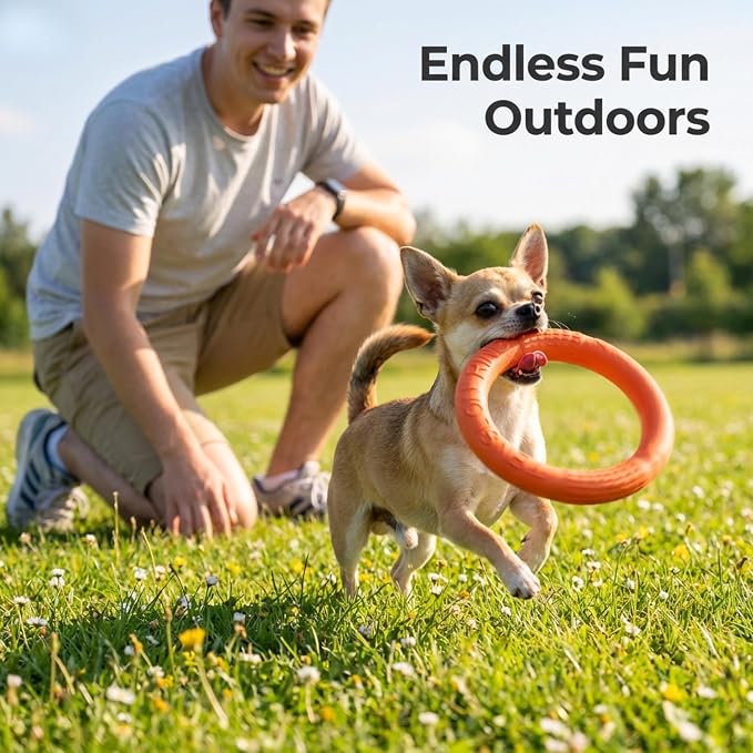 Floating Ring & Ball Combo Set, 2 Pack EVA Water Fetch Toys for Dogs, Durable Chew Tug Toy for Small Medium Large Dogs, Pool Beach Interactive Play (Orange, Small)
