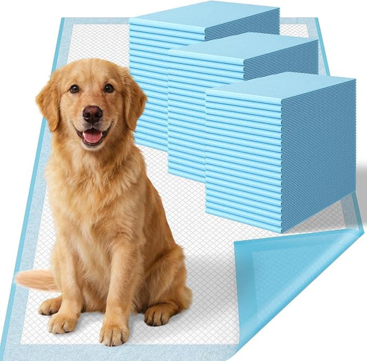 Pee Pads for Dogs ,Disposable Dog Traning Pads Leak-Proof Dog Pee Pads Extra Large,Quick-Drying Absorbent Wee Wee Pad for Dogs Puppy Pad XXL 31"x36" ,60 Count