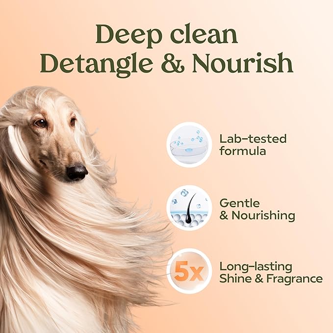 PAWFUME Deshedding Dog Shampoo and Conditioner, Show Dog, 4-Pack – Nourish & Detangle for Silky Soft Coat – Probiotic, Deep-Cleaning, pH-Balanced Formula – Salon-Quality Shampoo for Dogs