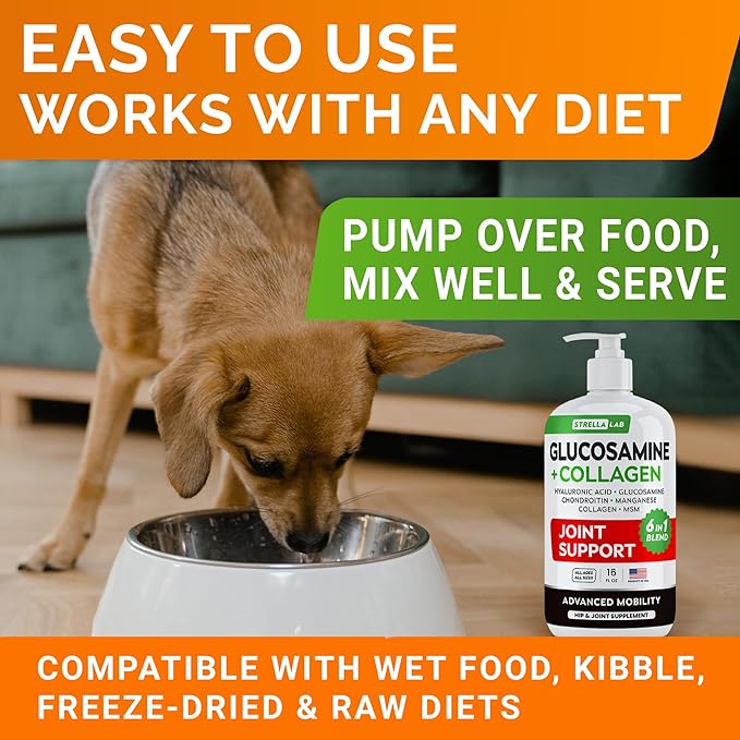 STRELLALAB Liquid Glucosamine for Dogs 32 OZ - Joint Support - All-Natural Hip & Joint Supplement, Glucosamine Chondroitin Liquid, MSM & Collagen for Dogs Mobility, Joint Pain Relief (Pack of 2 16oz)