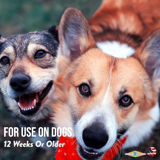 ShowSeason Itch Relief Oatmeal and Aloe Pet Shampoo 16 oz. for Dogs & Cats | Anti-Itch & Deodorizing Formula, Soothes and Moisturizes Dry Itchy Sensitive Skin