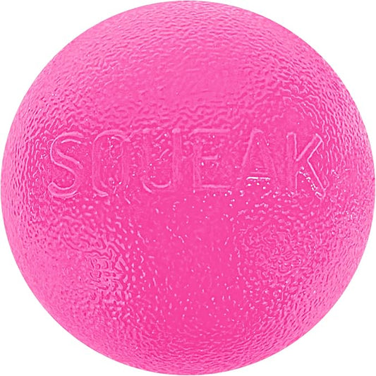 Outward Hound by Planet Dog Squeak Ball Bouncy Fetch Dog Toy, Pink