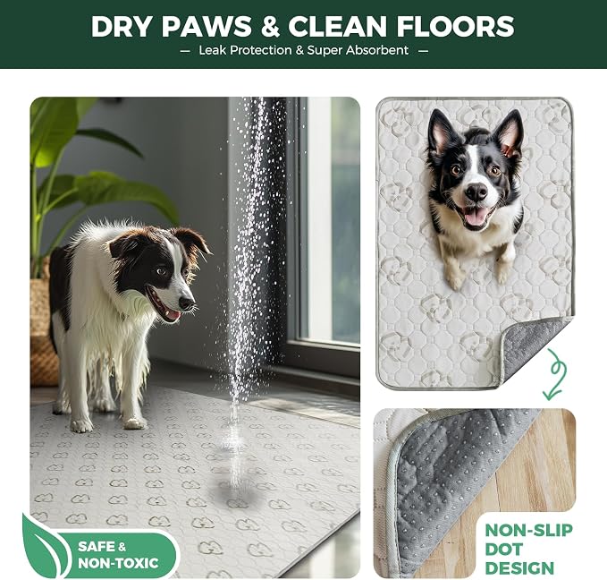 FXW Washable Pee Pads for Dogs, Leak-Proof & Non-Slip, Specifically Designed for Potty Training, Square, 39" x 39", 2 Packs