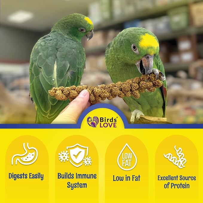 2lbs Economy & Special Spray Millet for Birds – GMO-Free, No Stems (Only Edible Tops) – 100% Natural Sun-Dried Foraging Treat for Cockatiels, Lovebirds, Parakeets, Finches & Canaries
