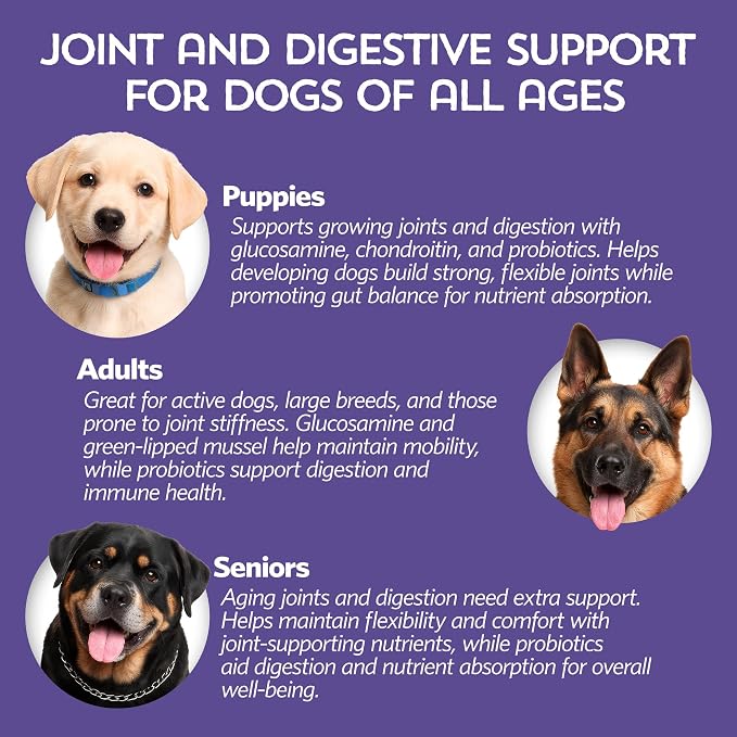 Fidobiotics Hip & Joint Support for Dogs with Probiotics – Glucosamine, Chondroitin, MSM & Green Lipped Mussel – Dog Joint Supplement Powder Food Topper for Mobility & Digestion (20 Servings)