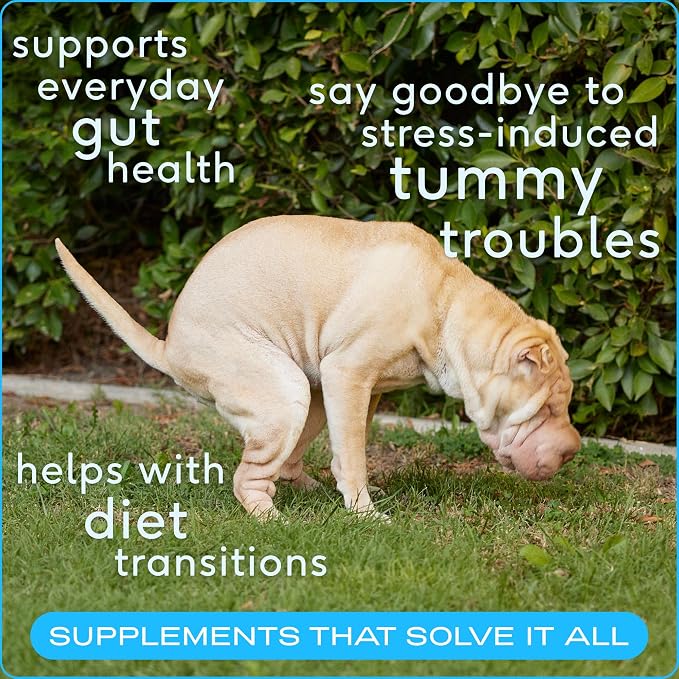 Native Pet Belly Bundle: Pumpkin for Dogs (8 Oz.) & Probiotic Powder for Dogs (4.1 Oz.) - All-Natural Remedy for Pet Diarrhea, Upset Stomach & Gas Relief