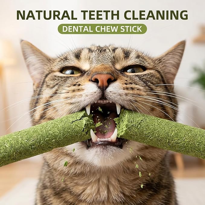 Cat Grass Sticks for Indoor Cats 50g Chicken Freeze Dried Treat 10pcs