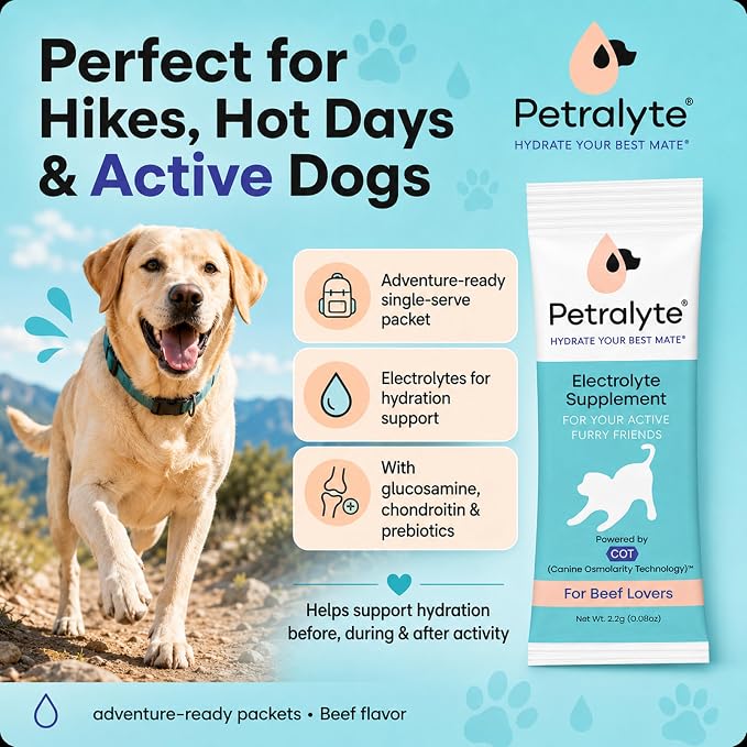 Petralyte Dog Electrolytes and Joint Supplement | Hydration Support for Dogs w/Glucosamine, Chondroitin & More | Electrolytes for Dogs with Prebiotics | for Beef Lovers | 16 Packets