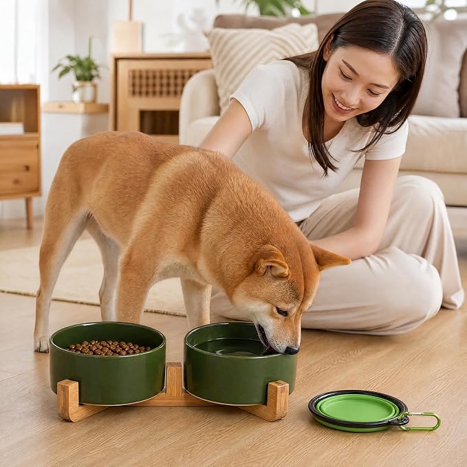 Petygooing Ceramic Dog Cat Bowl Set with Stand, Pet Food and Water Dishes,Medium Pet Bowl Anti -Slip Set of 2 Cat Dish-Pet Food Bowls Small Medium Size Dog (28OZ/6.1 in) Rust Green