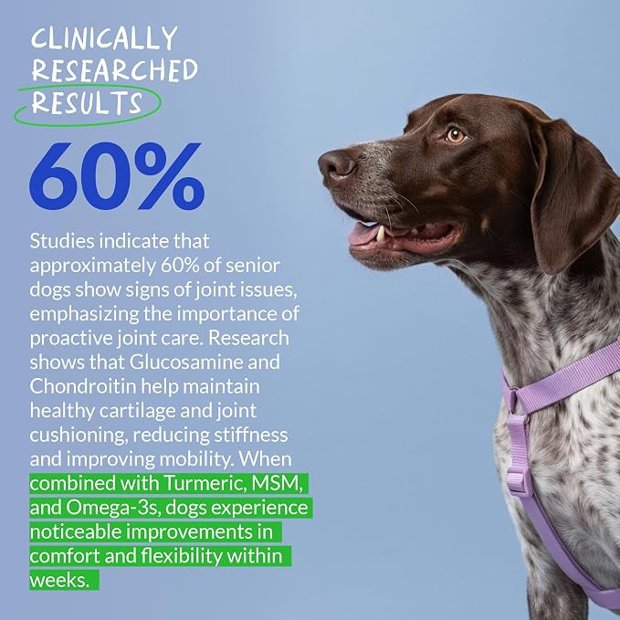 Hip & Joint for Dogs - Collagen, Glucosamine & Green Lipped Mussel | With Collagen, Glucosamine, Fish Oil & Green Lipped Mussel. Supports joint mobility & eases inflammation in dogs.