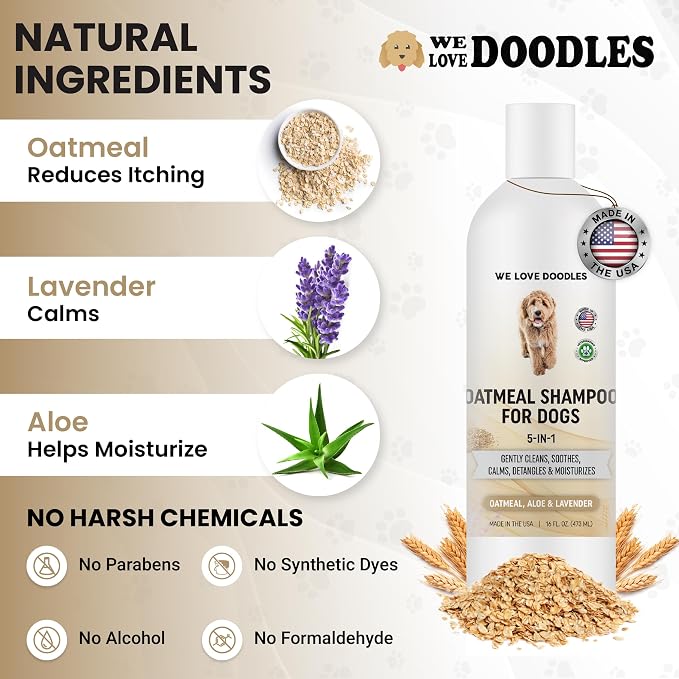 We Love Doodles Premium Oatmeal Shampoo & Slicker Brush for Dogs - Gentle for Itchy & Sensitive Skin, Hypoallergenic & Soothing for Dry Skin, Moisturizing Anti-Itch, Brush for Grooming, Made in USA