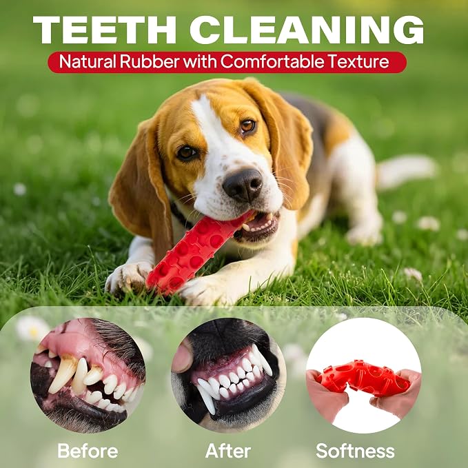 Fida 2-in-1 Puppy Teething Toys, Natural Rubber Chew Toys for Dogs to Keep Them Busy & Plush Toys with Crinkle Leaves, Interactive Dog Toys for Small Medium Breeds and Puppies.(Chilly)