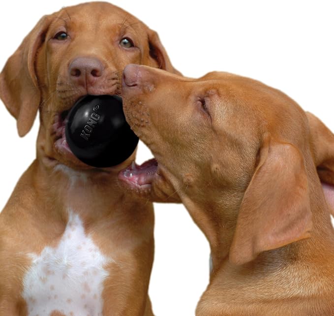KONG Extreme Ball with Hole - Fetch Toy - Durable Dog Toy for Training, Interactive Playtime & More - Natural Extreme Rubber Ball - Black - for Large Dogs