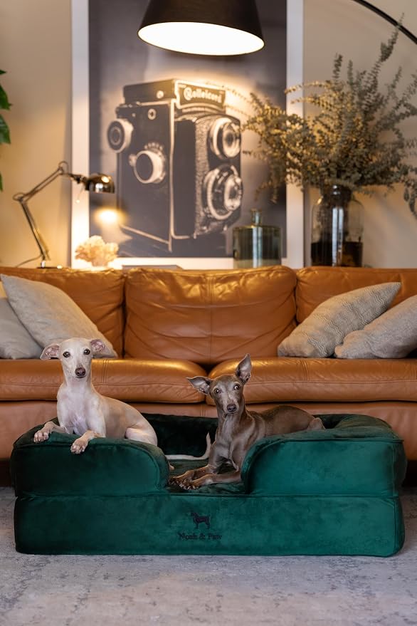 NOAH & PAW Large Dog Bed, 35x25x11 Inch, Orthopedic Dog Beds, Eggshell Memory Foam Infused with Cooling Gel, Inner Cover, Water Resistant, Machine Washable (Velvet Sofa Collection)