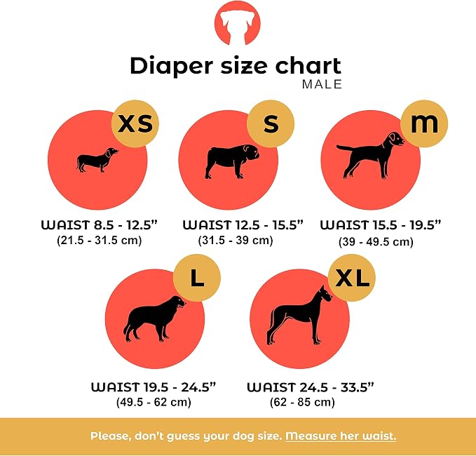 PETTING IS CARING Male Dog Wraps Washable & Reusable Belly Band Diapers Materials Durable Machine Washable Doggie Pee Puppy Pads Diaper Trainer Potty - 3 Pack Set