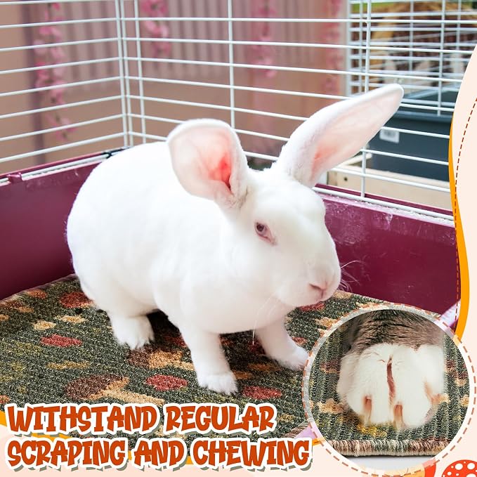 Drydiet 16 x 12 Inch 2 Pcs Rabbit Scratch Mat Natural Bunny Scratching Pad Claws and Teeth Care Rabbit Mats for Cages Chew Toys Bunny Pet Cage Bedding for Biting Sleeping Nesting